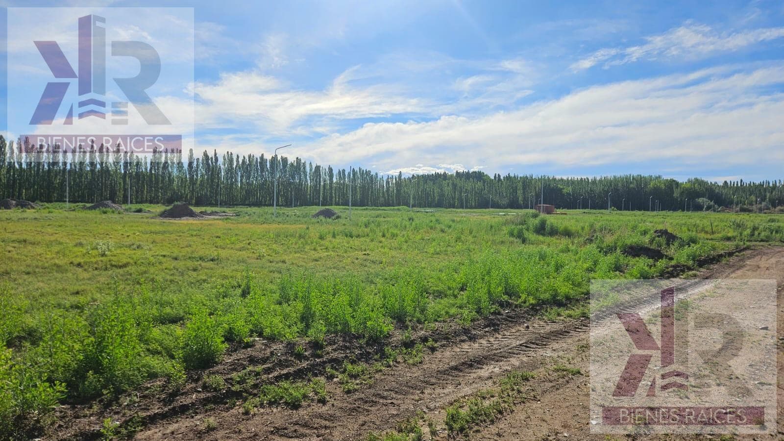 Altos de Vista Alegre Housing Development