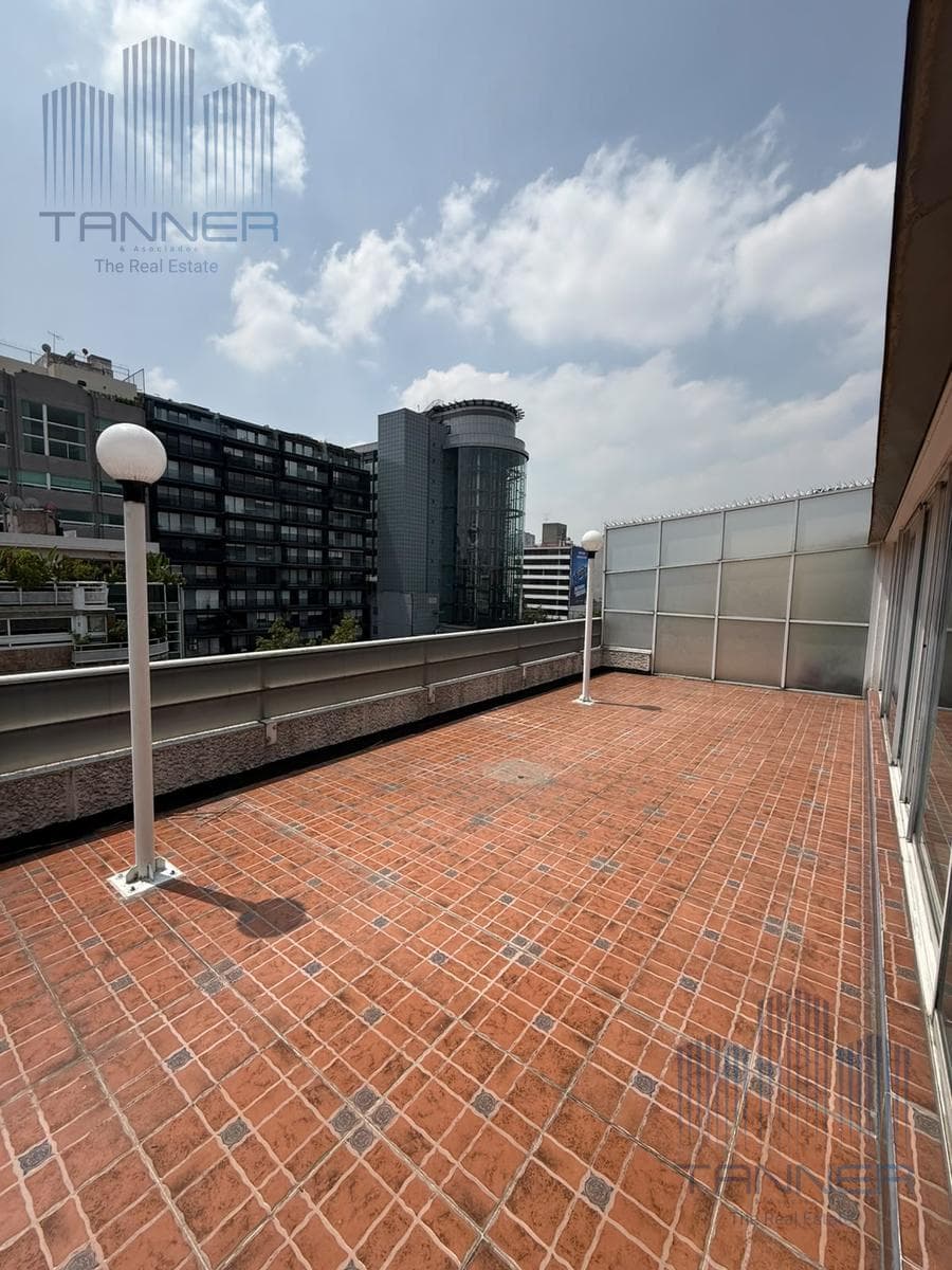 Apartment in Polanco, Section IV