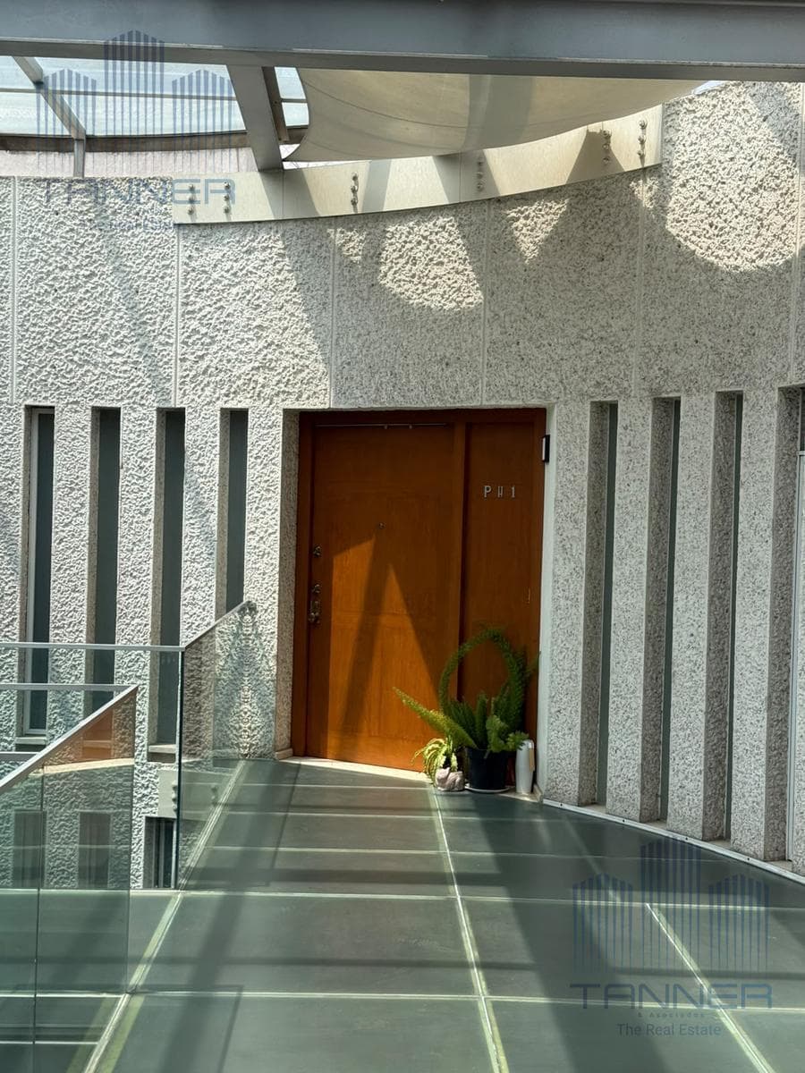 Apartment in Polanco, Section IV