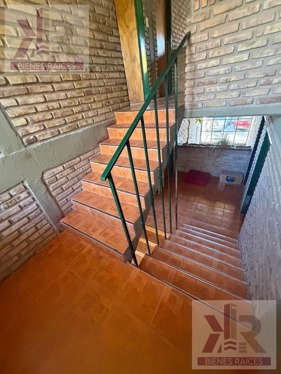 Rentals in Neuquén City