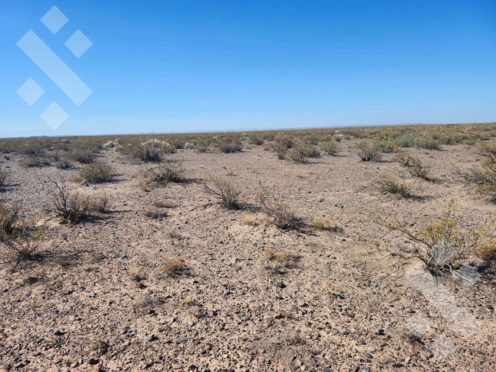 50-hectare plot of land near Route 67