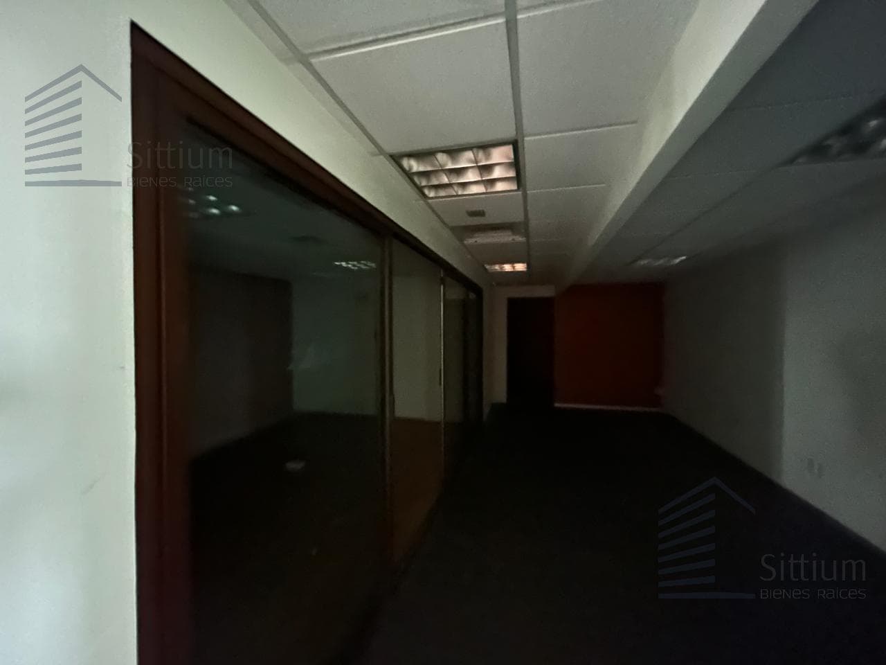 Office for Rent - 13th Floor - 248 m2