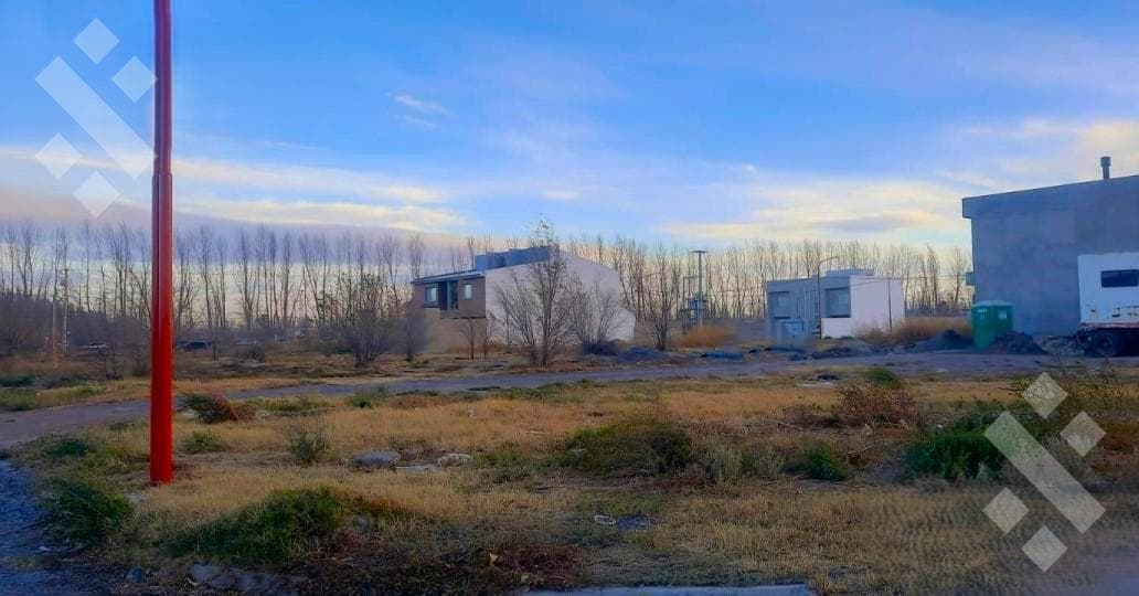 Land for sale, suitable for subdivision. 1800 Walsh Street - Cipolletti