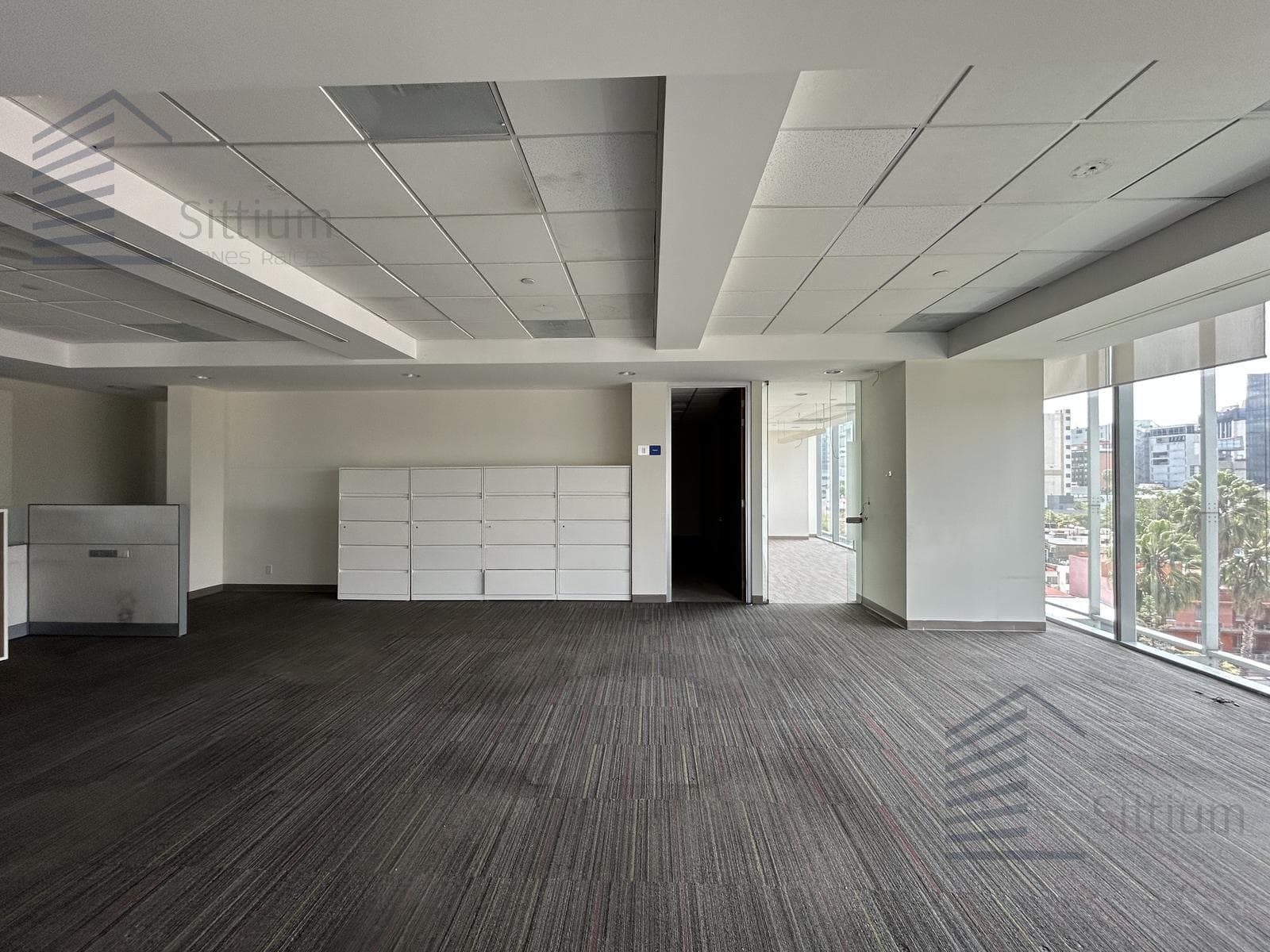 Office for Rent - Anzures - 5th Floor, 494 m²