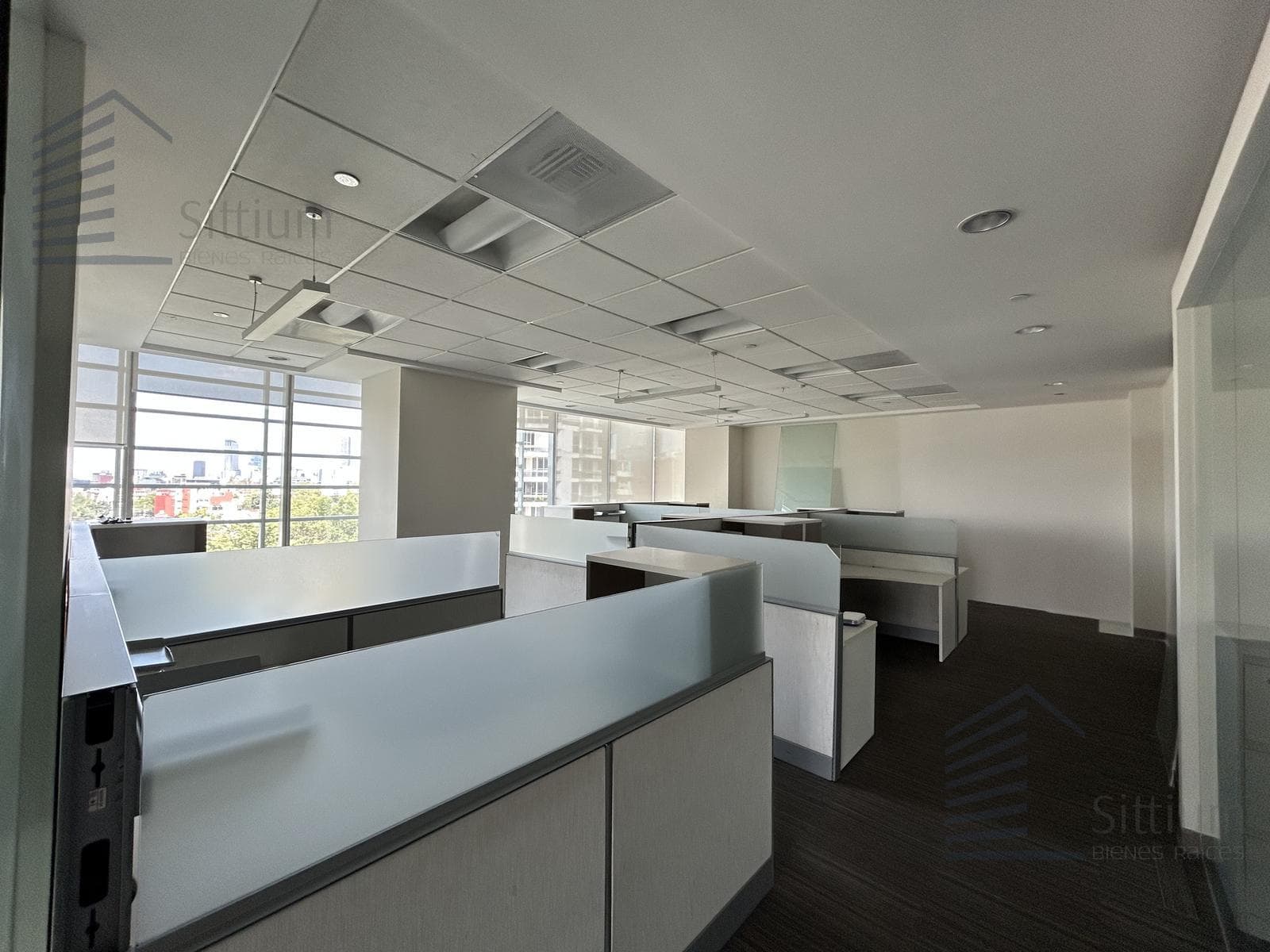 Office for Rent - Anzures - 5th Floor, 494 m²