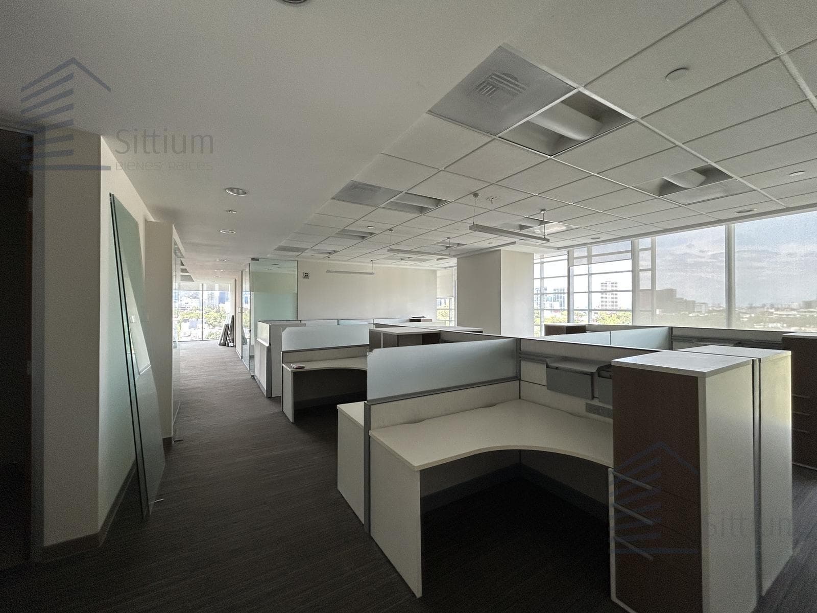 Office for Rent - Anzures - 5th Floor, 494 m²