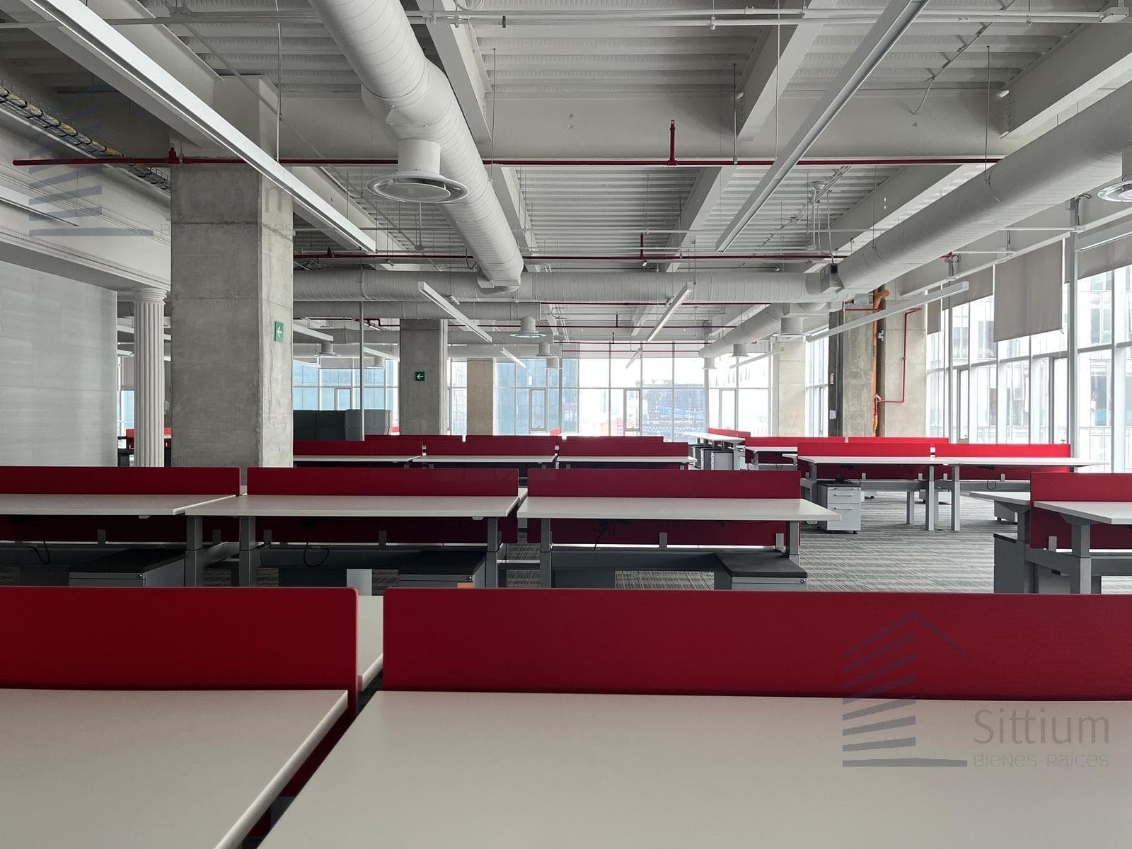 Office for Rent - Carso Polanco - 11th Floor - 2,111 m2