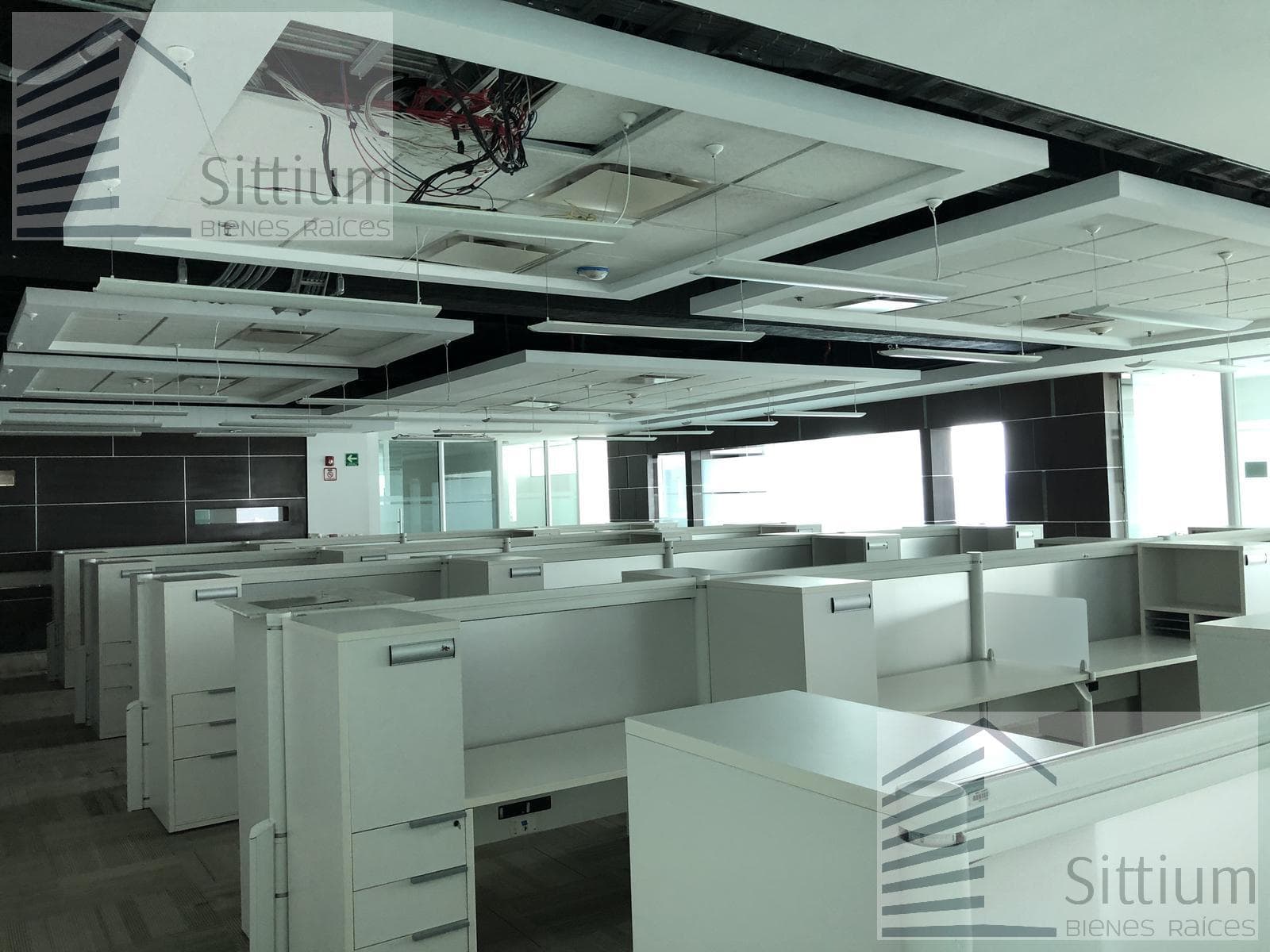 Office for Rent - Esmeralda III Tower, 11th Floor - 205 m2