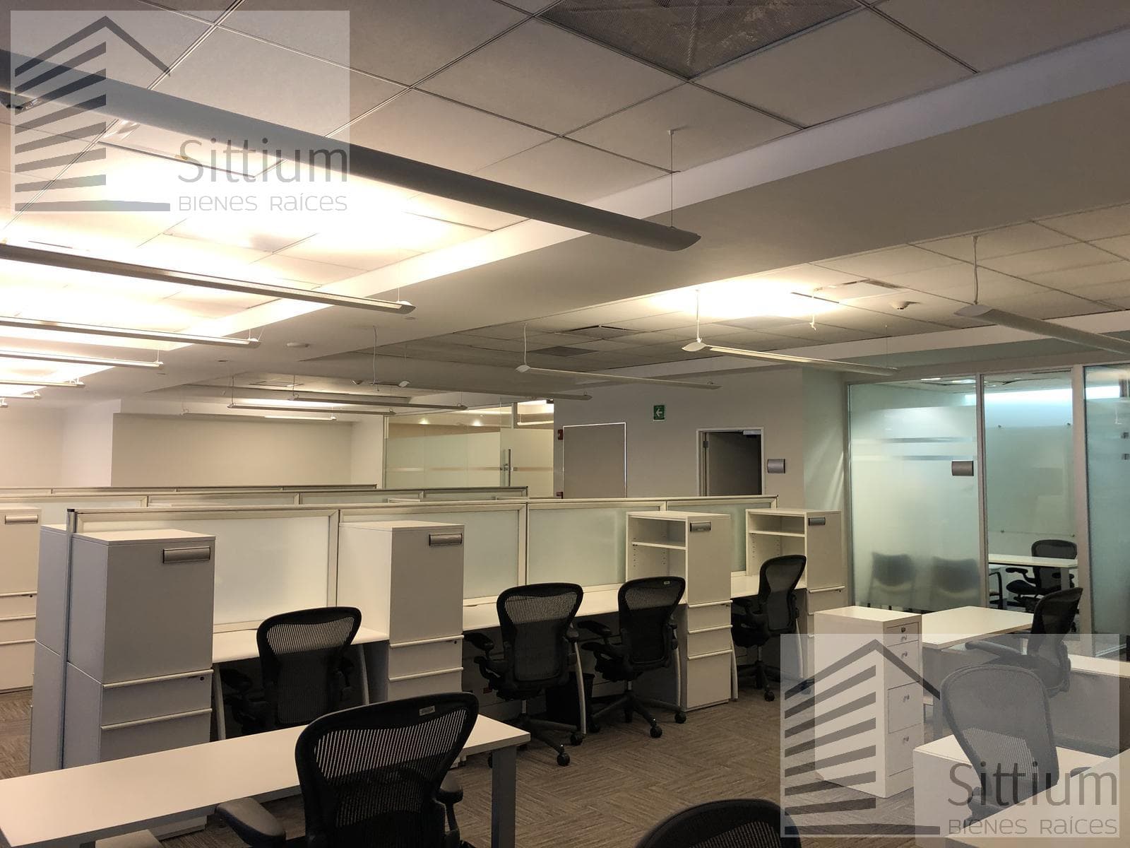 Office for Rent - Esmeralda III Tower, 5th Floor - 329 m2