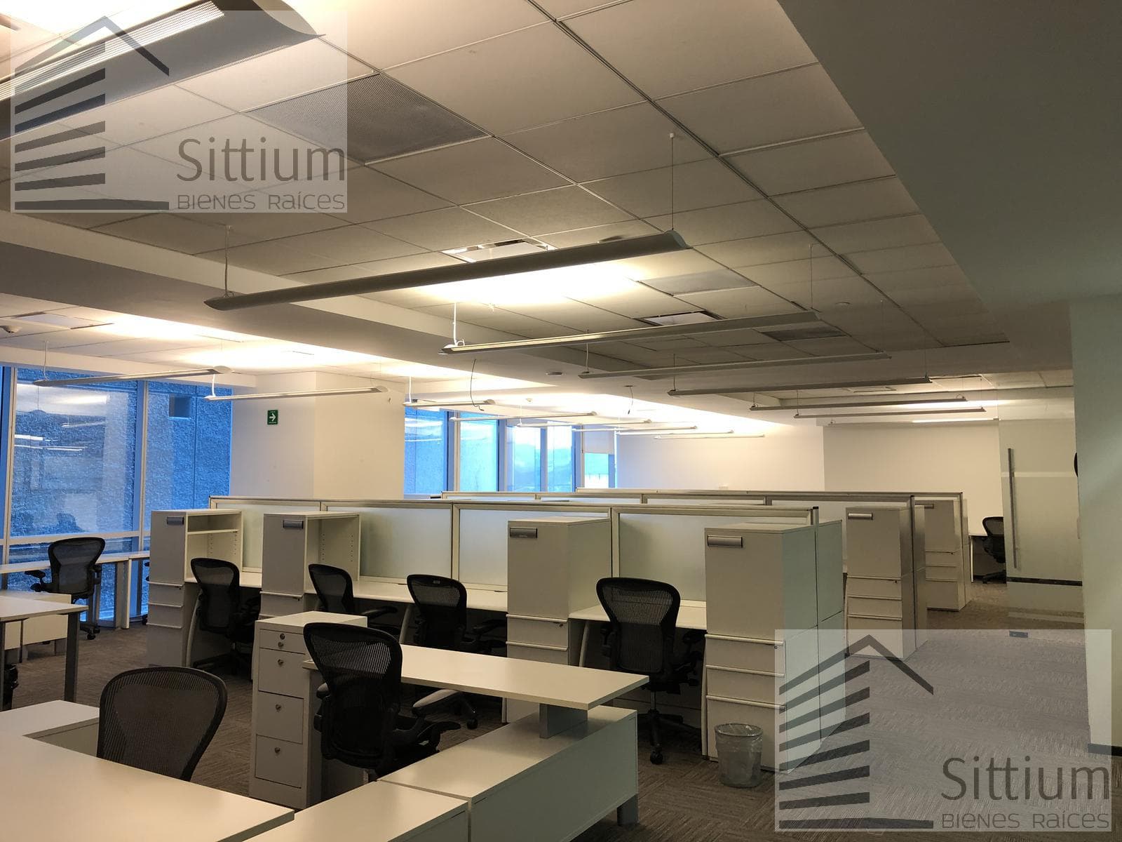 Office for Rent - Esmeralda III Tower, 5th Floor - 329 m2