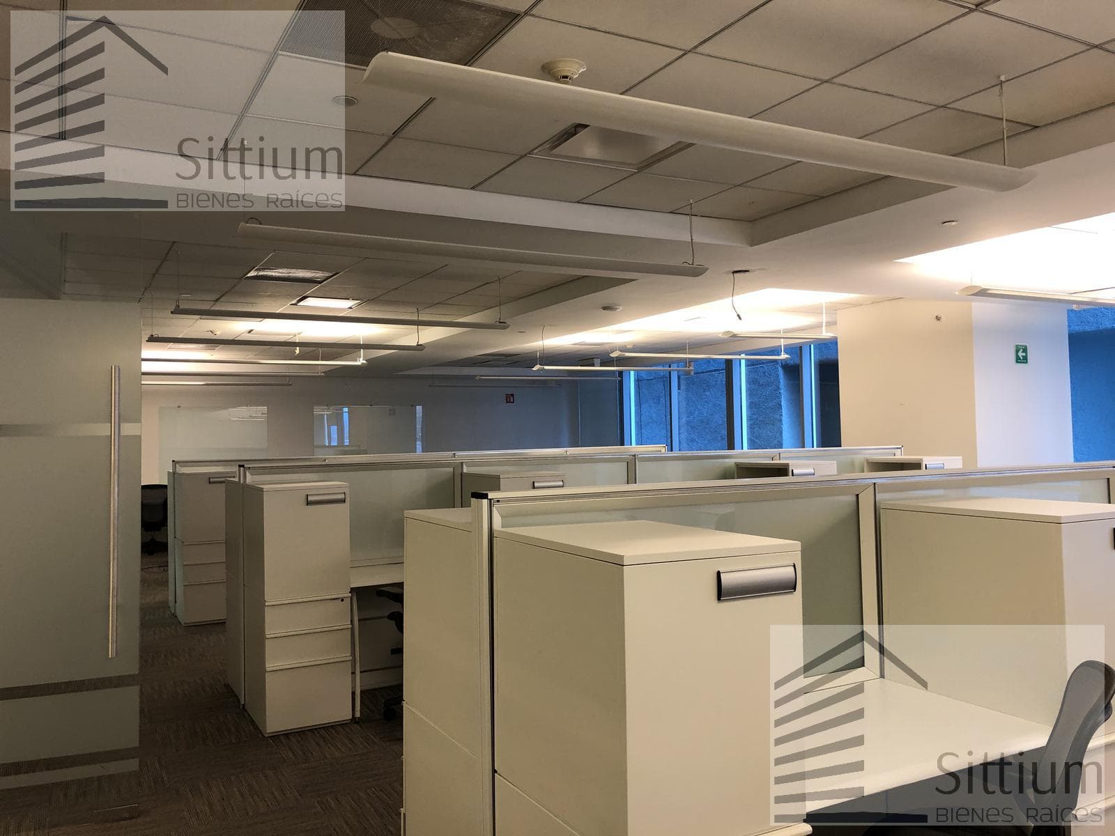 Office for Rent - Esmeralda III Tower, 5th Floor - 329 m2
