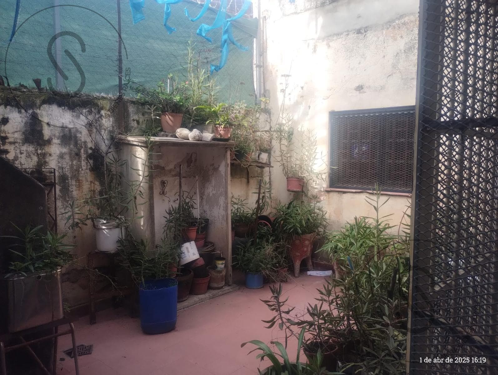 House in General Bustos