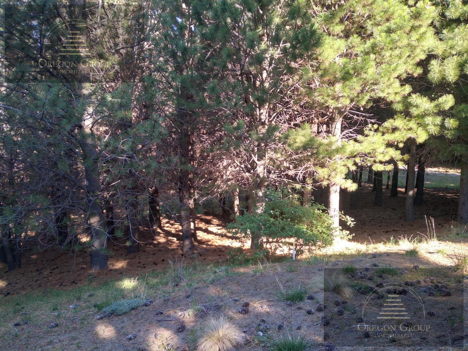 Land in Junín de los Andes