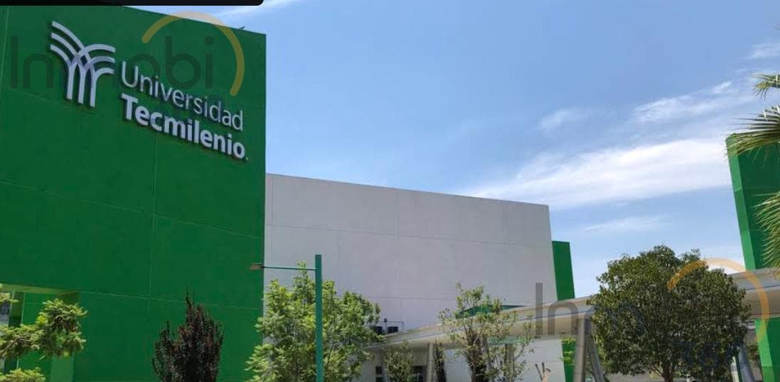 Transfer of Rights at Cinco Norte