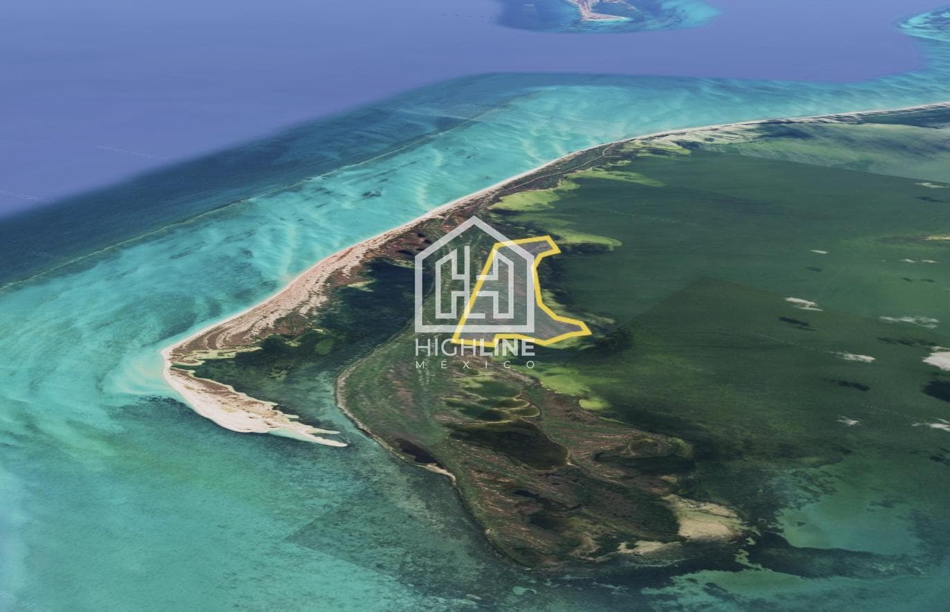 Opportunity: Large Oceanfront Lot in Isla Blanca—100 Hectares in an Uphill Area with High Appreciation Potential for Real Estate