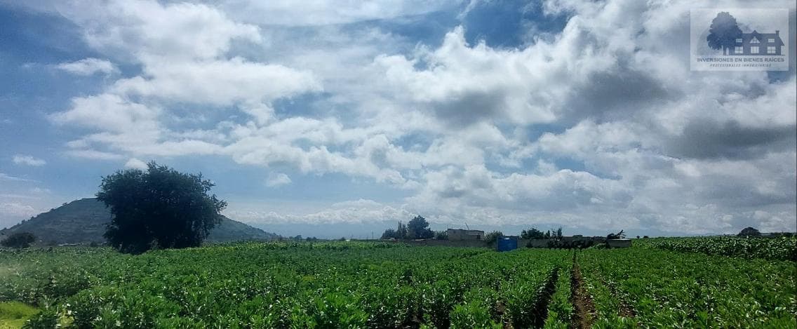 Excellent Investment Opportunity! 12,500 m² lot in Col. Guadalupe, Tlacotepec