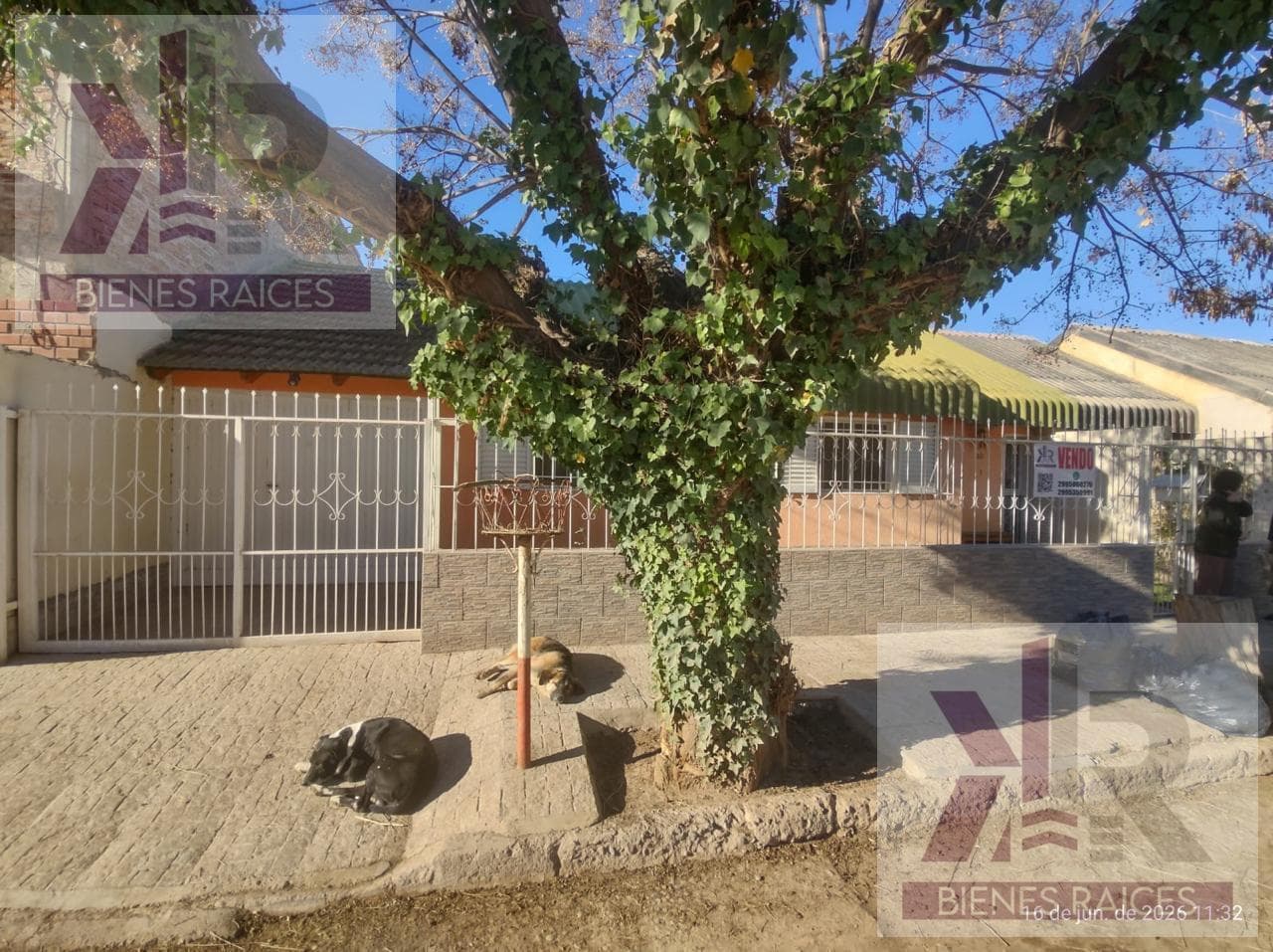 Apartment in Pinamar