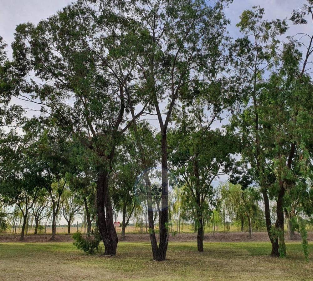 FOR SALE: 2,973 M² LOT IN FINCAS DE SAN VICENTE CHACRAS