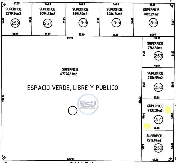 LAND FOR SALE IN SAN VICENTE: FARMSTEADS, 2,737 M²
