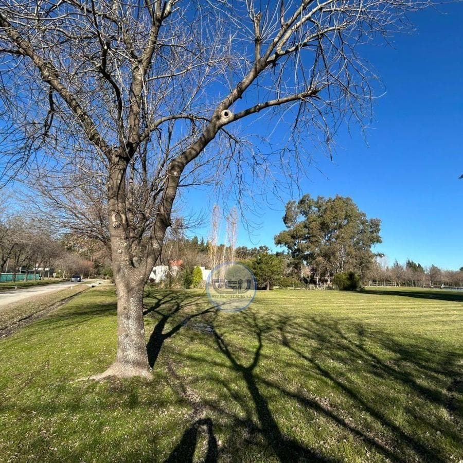 PROPERTY FOR SALE IN SAN VICENTE: FARM LAND LOTS