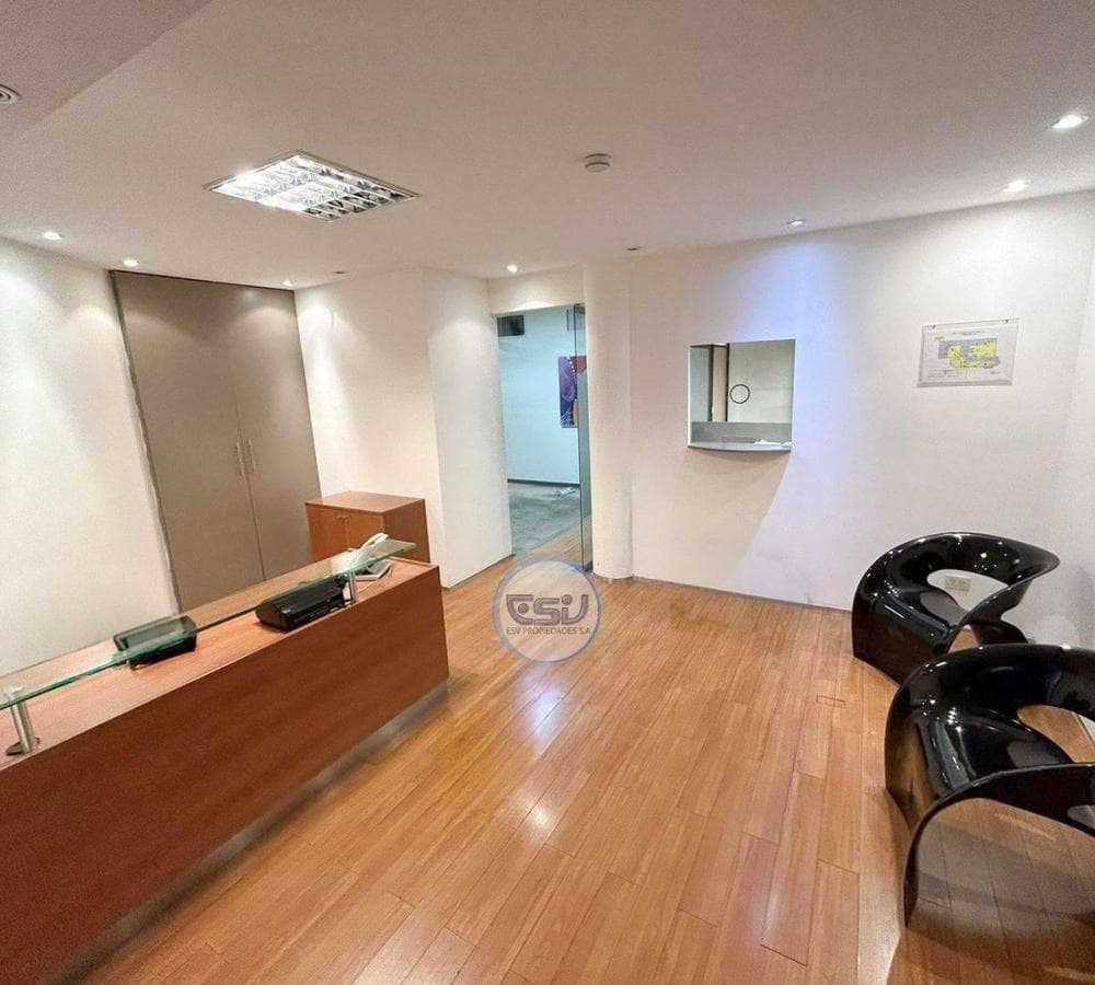 OFFICE FOR SALE IN PUERTO MADERO: 2 PARKING SPACES, VIEW OF THE DIKE
