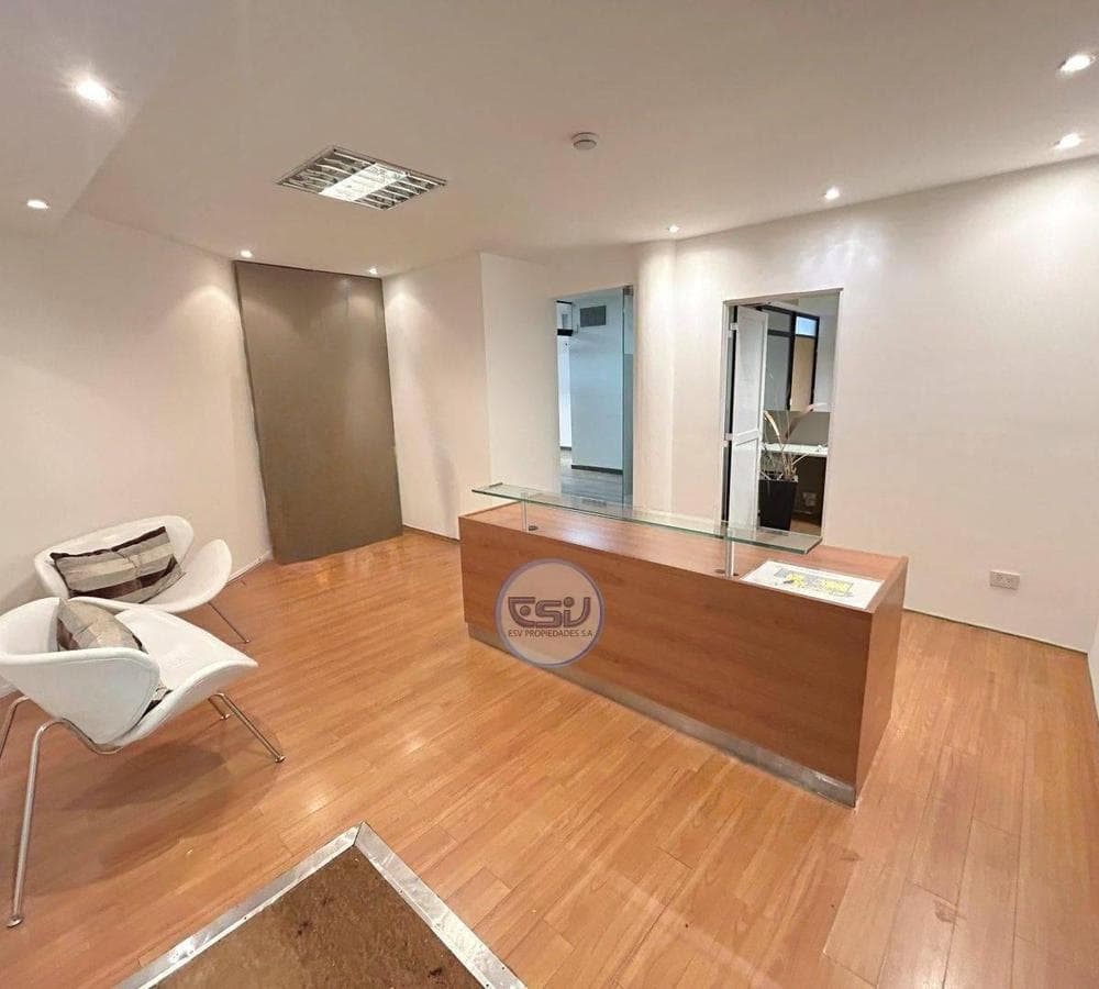 OFFICE FOR SALE IN PUERTO MADERO: 2 PARKING SPACES, VIEW OF THE DIKE
