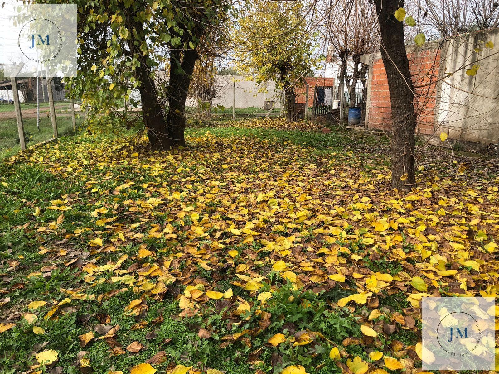 Land area: 328 m² (net)