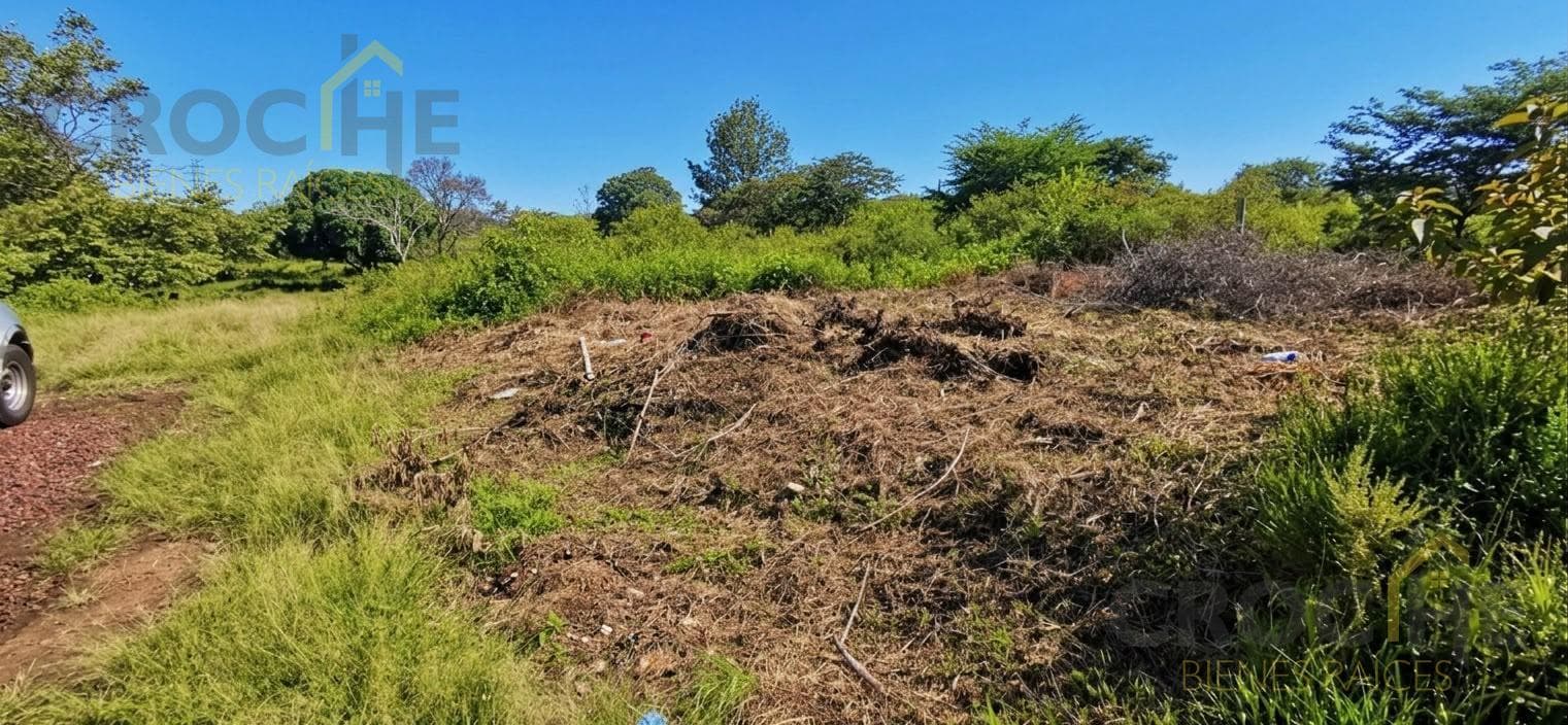 LAND FOR SALE IN EMILIANO ZAPATA, VERACRUZ
