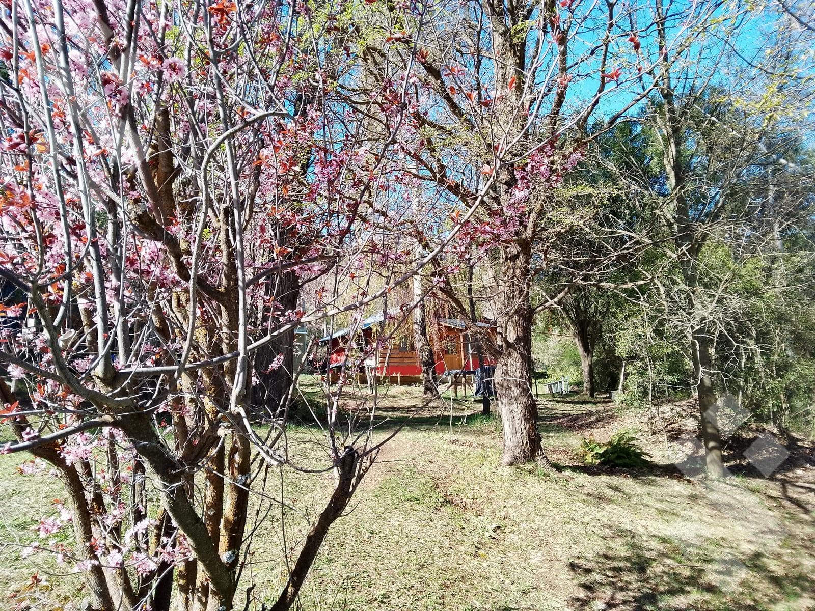House in Ruca Hue