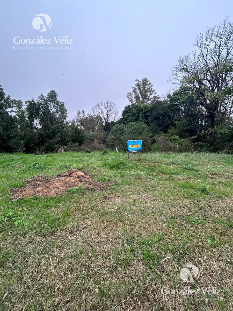 COLONIA—Beautiful lot just a few blocks from the waterfront