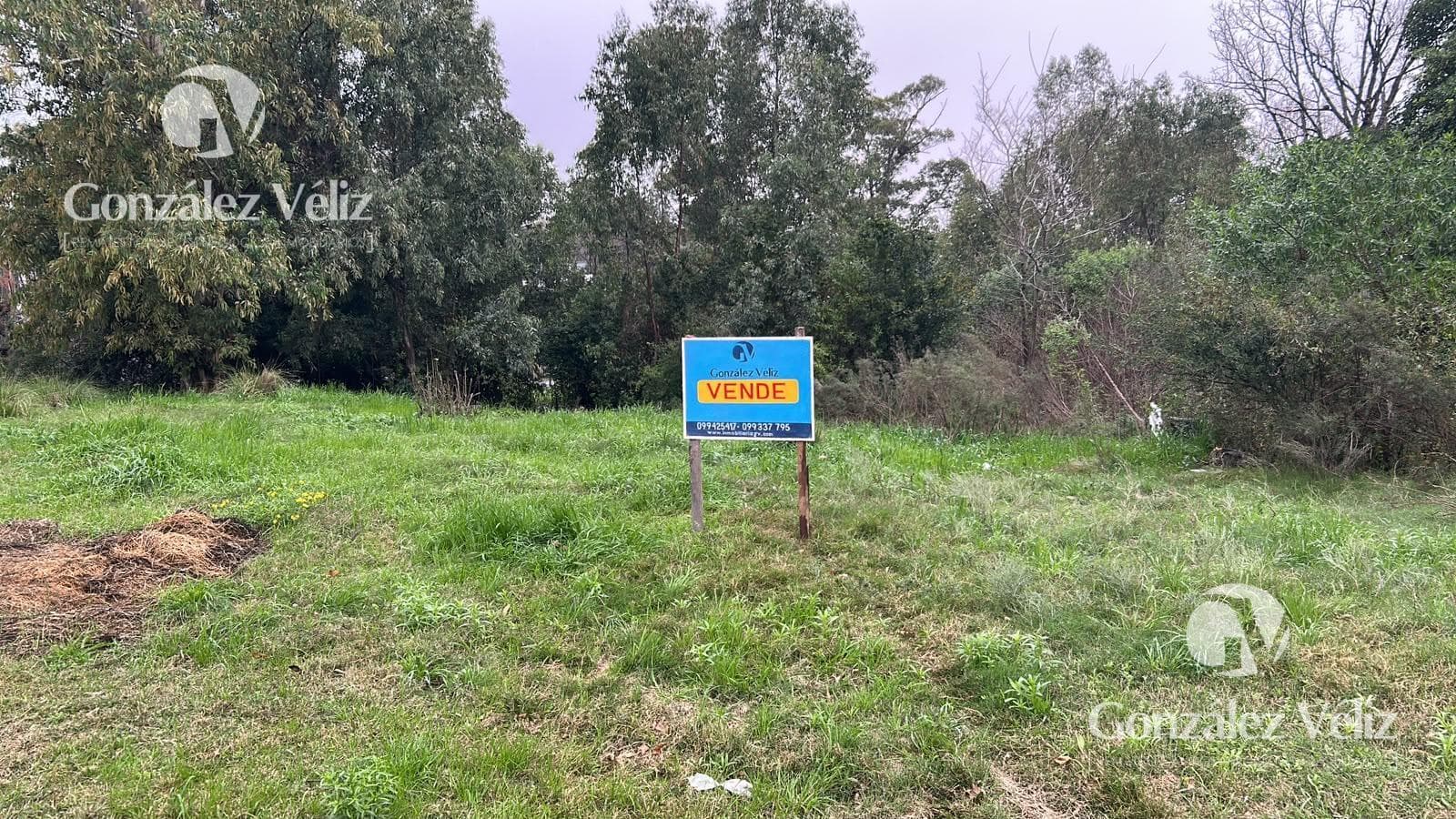 COLONIA—Beautiful lot just a few blocks from the waterfront