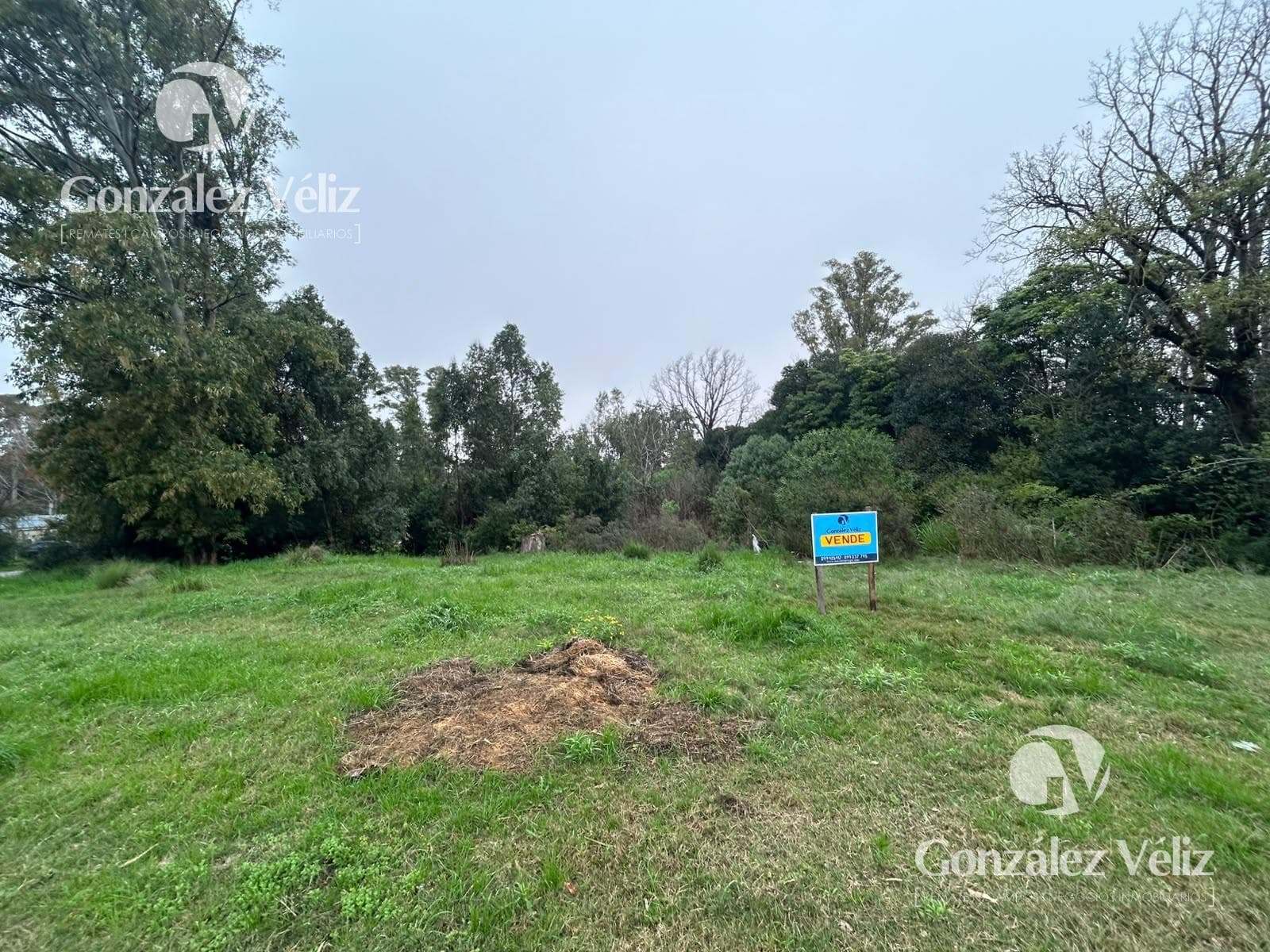 COLONIA—Beautiful lot just a few blocks from the waterfront