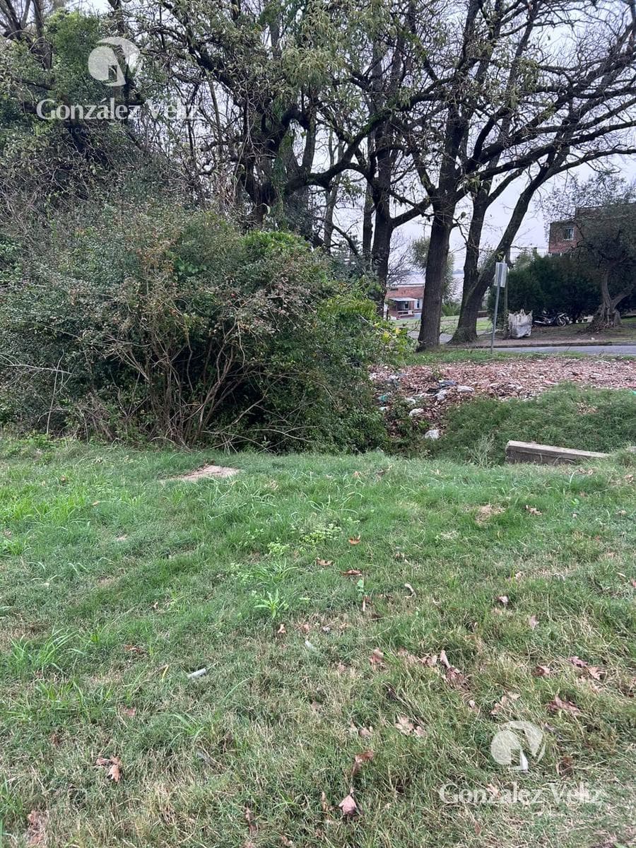 COLONIA—Beautiful lot just a few blocks from the waterfront