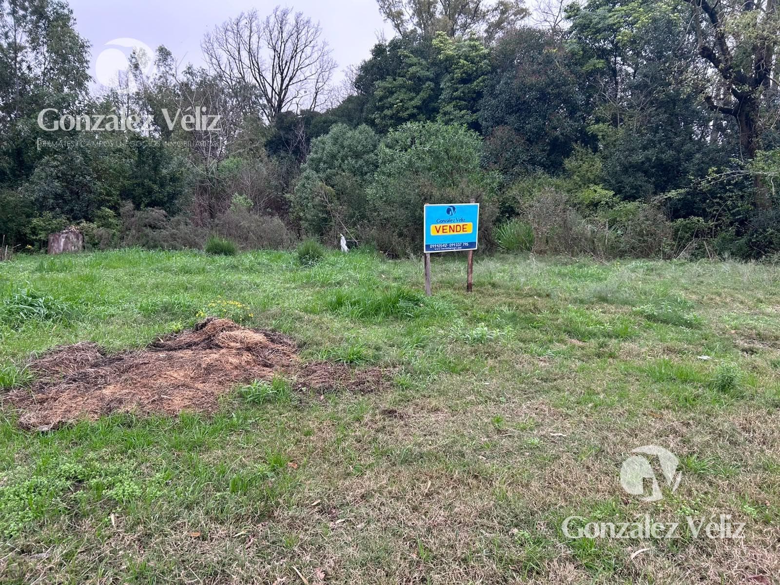 COLONIA—Beautiful lot just a few blocks from the waterfront