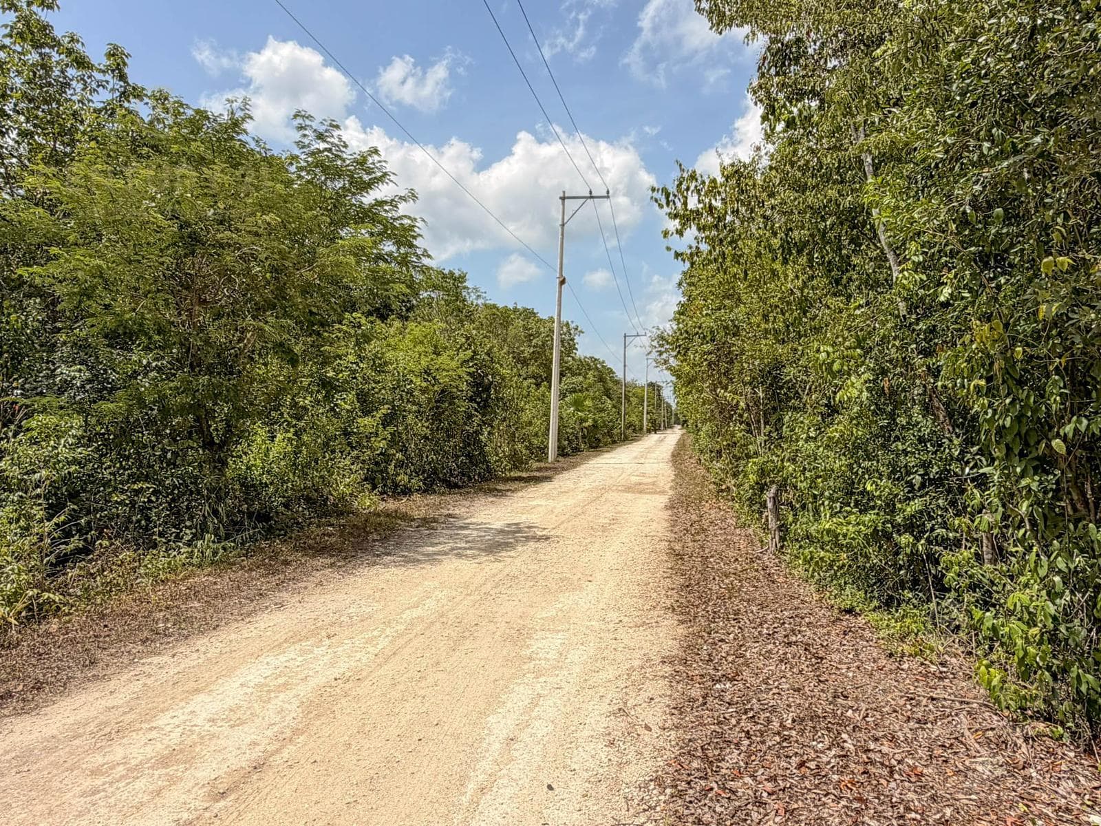 Land for Sale, Private Property - Bosques del Caribe C4159