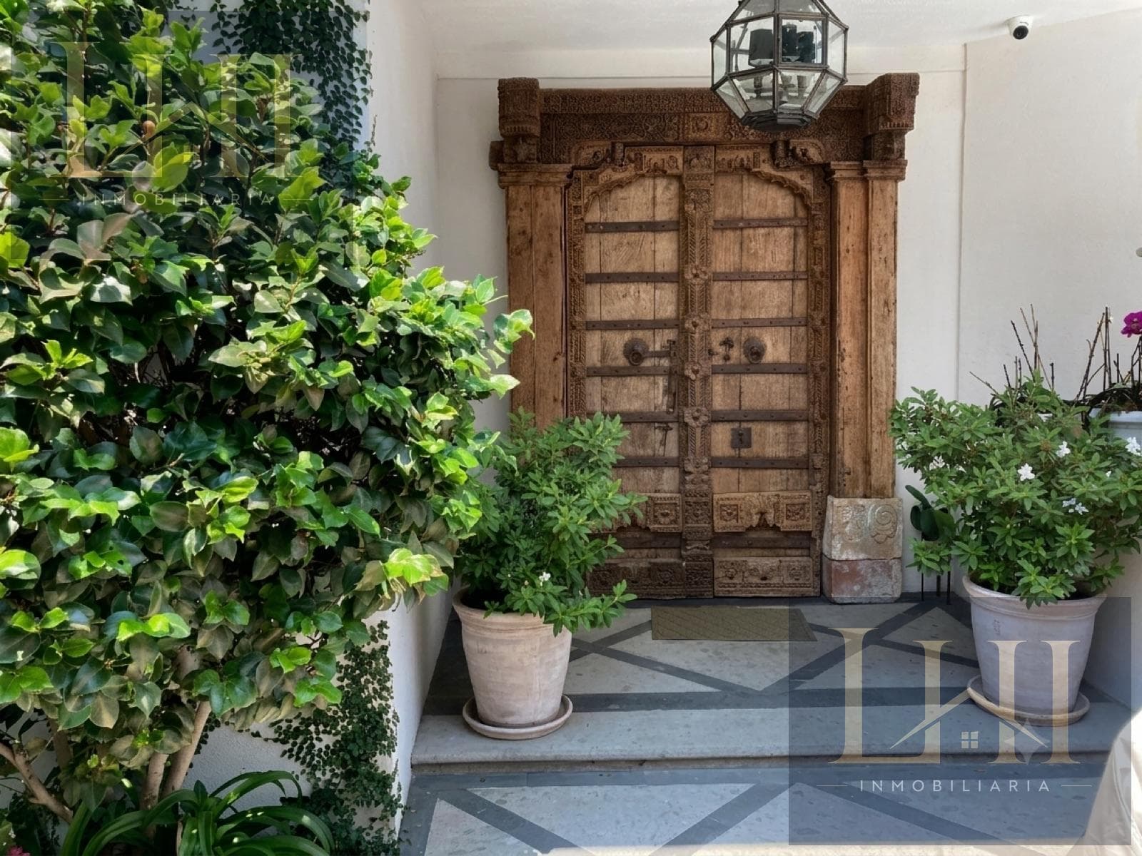 Home - Bosque de las Lomas