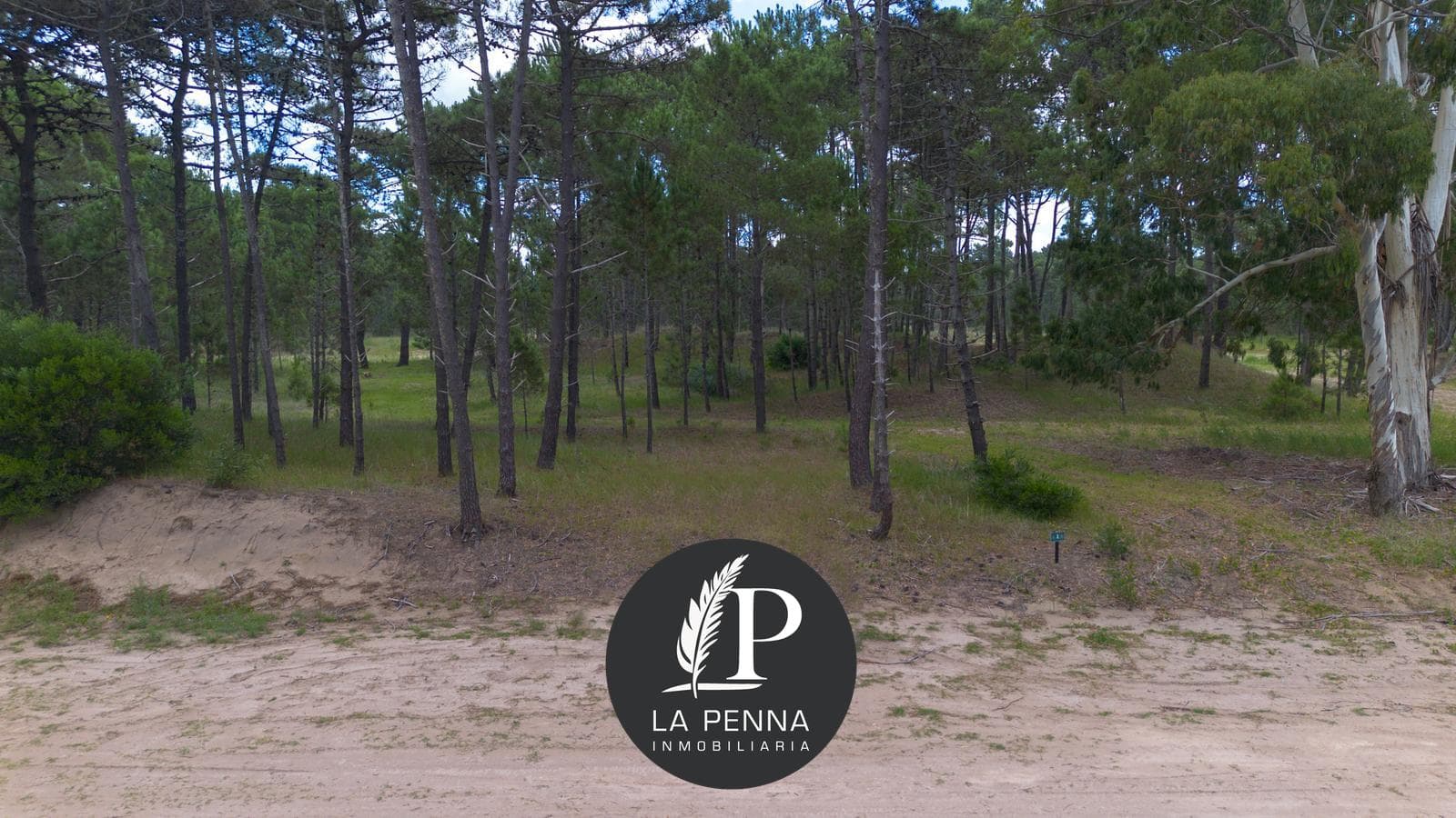 Land for Sale in Pinamar, Bosques Neighborhood
