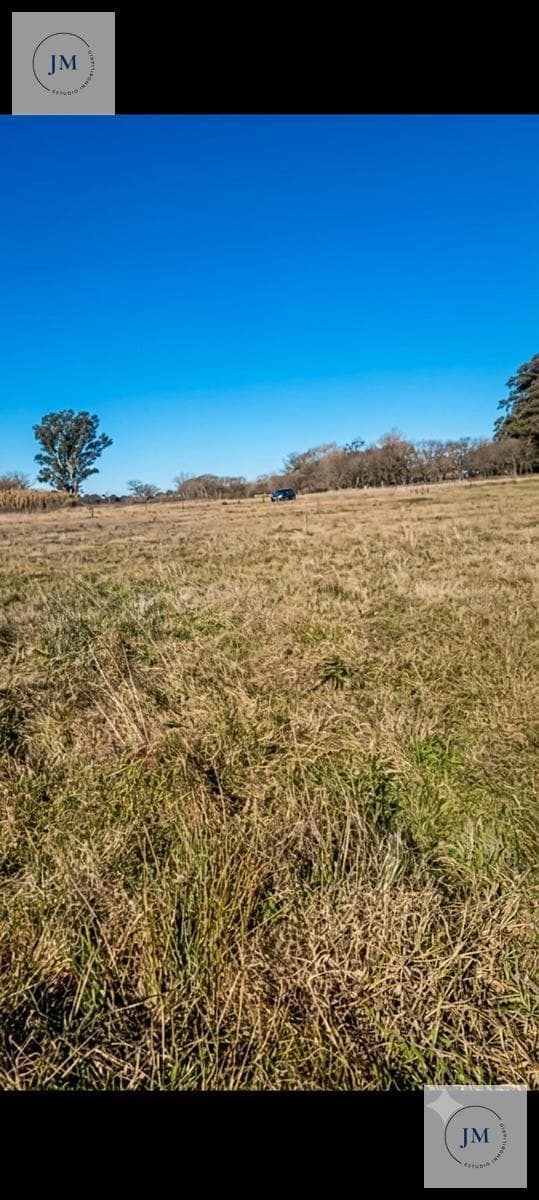 Land in Cañuelas