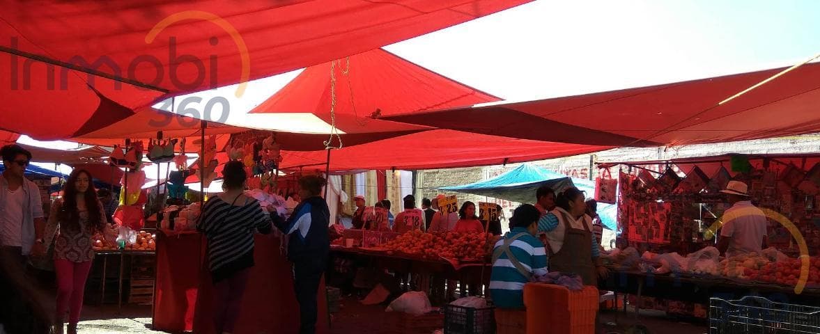 Land Transfer in Ejido Serrano