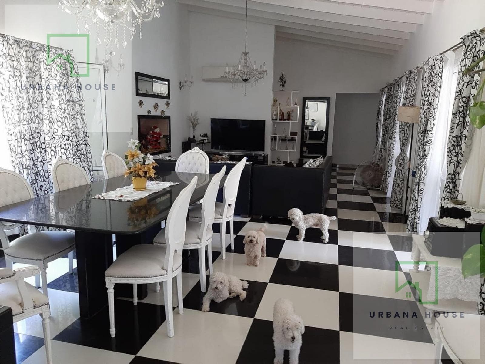 House - El Cazador Neighborhood