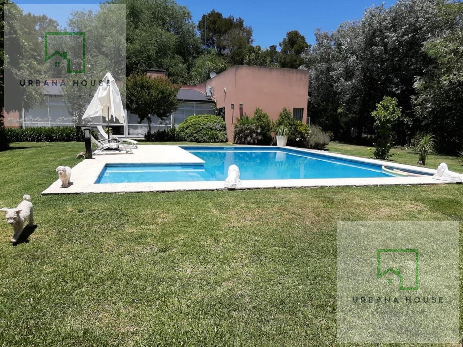 House - El Cazador Neighborhood