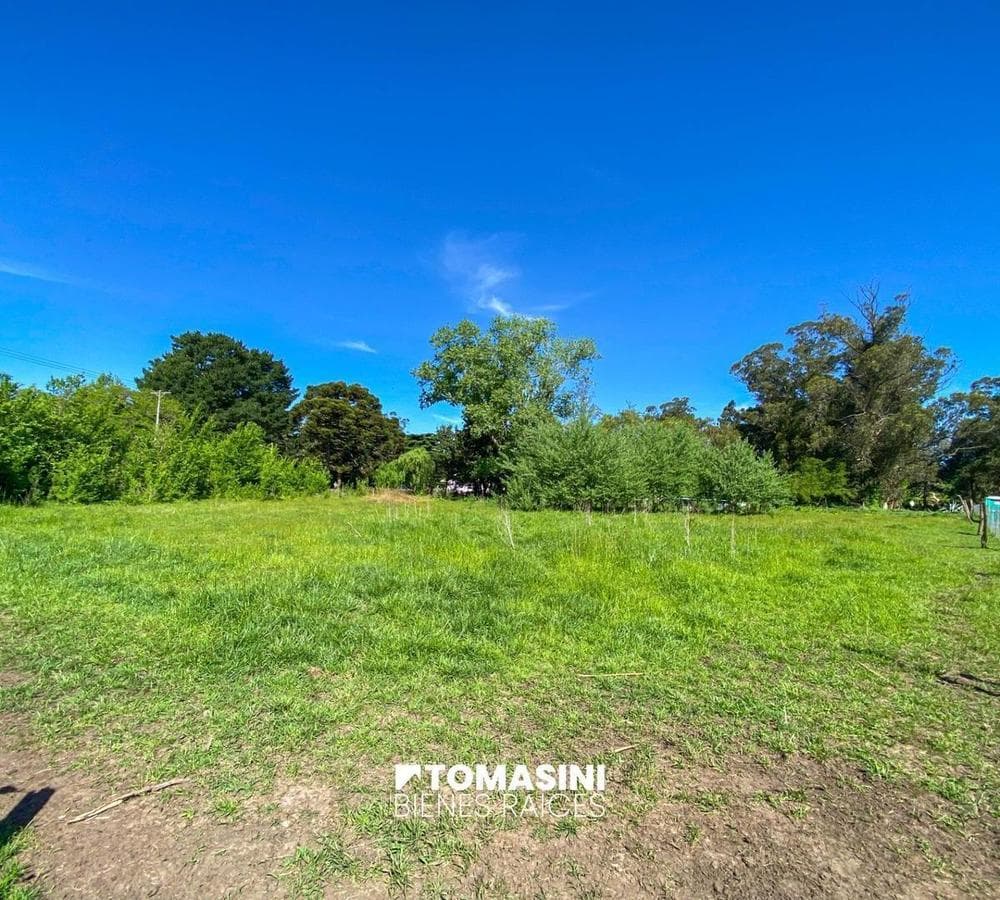 LAND IN THE EL SOSIEGO NEIGHBORHOOD