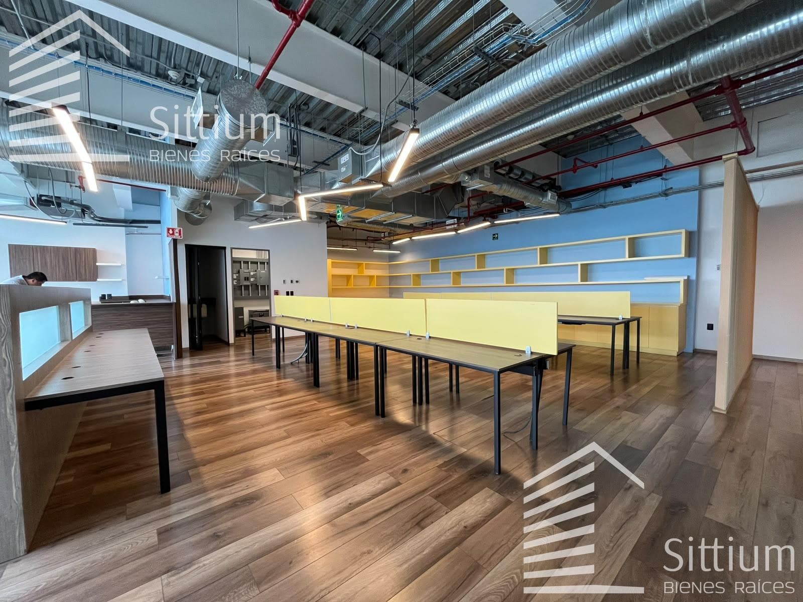 Office for Rent, 15th Floor - Ampliación Granada - 228 m2