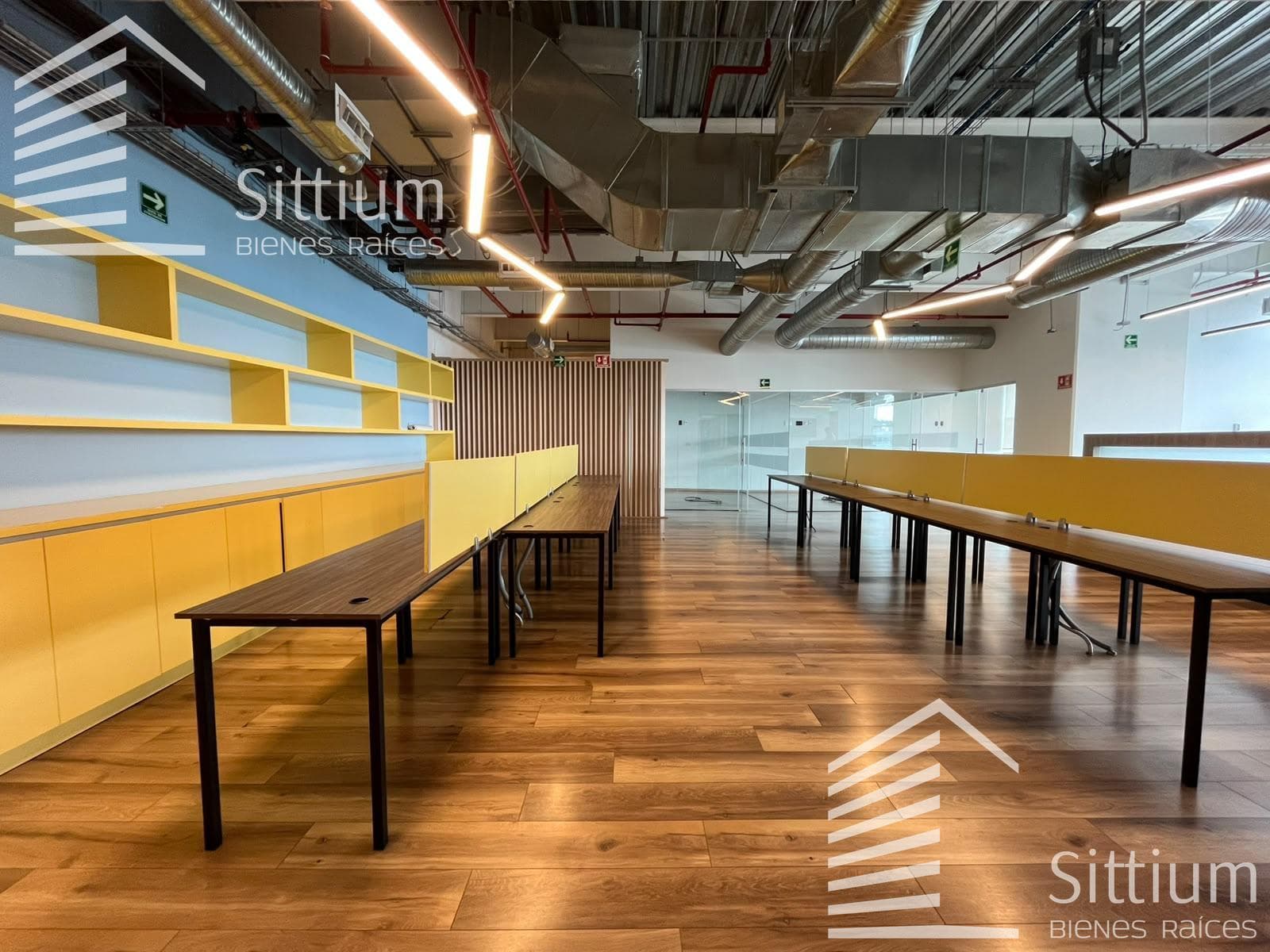 Office for Rent, 15th Floor - Ampliación Granada - 228 m2
