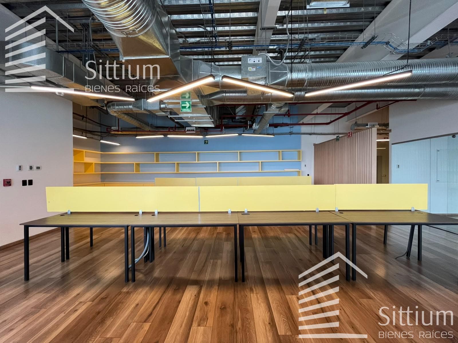 Office for Rent, 12th Floor - Ampliación Granada - 800 m2