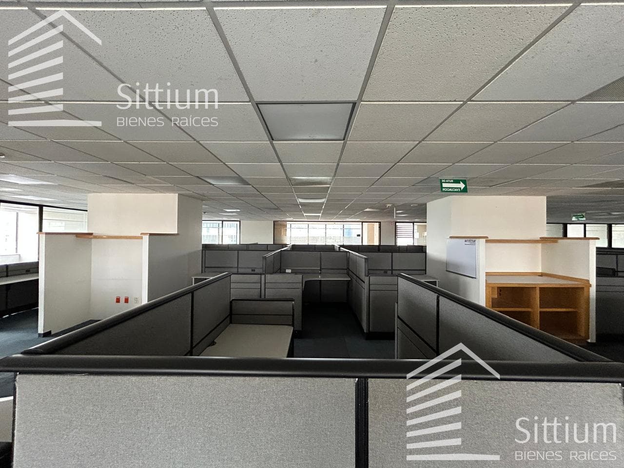 Office for Rent - Ejercito Nacional - 11th Floor - 857 m2