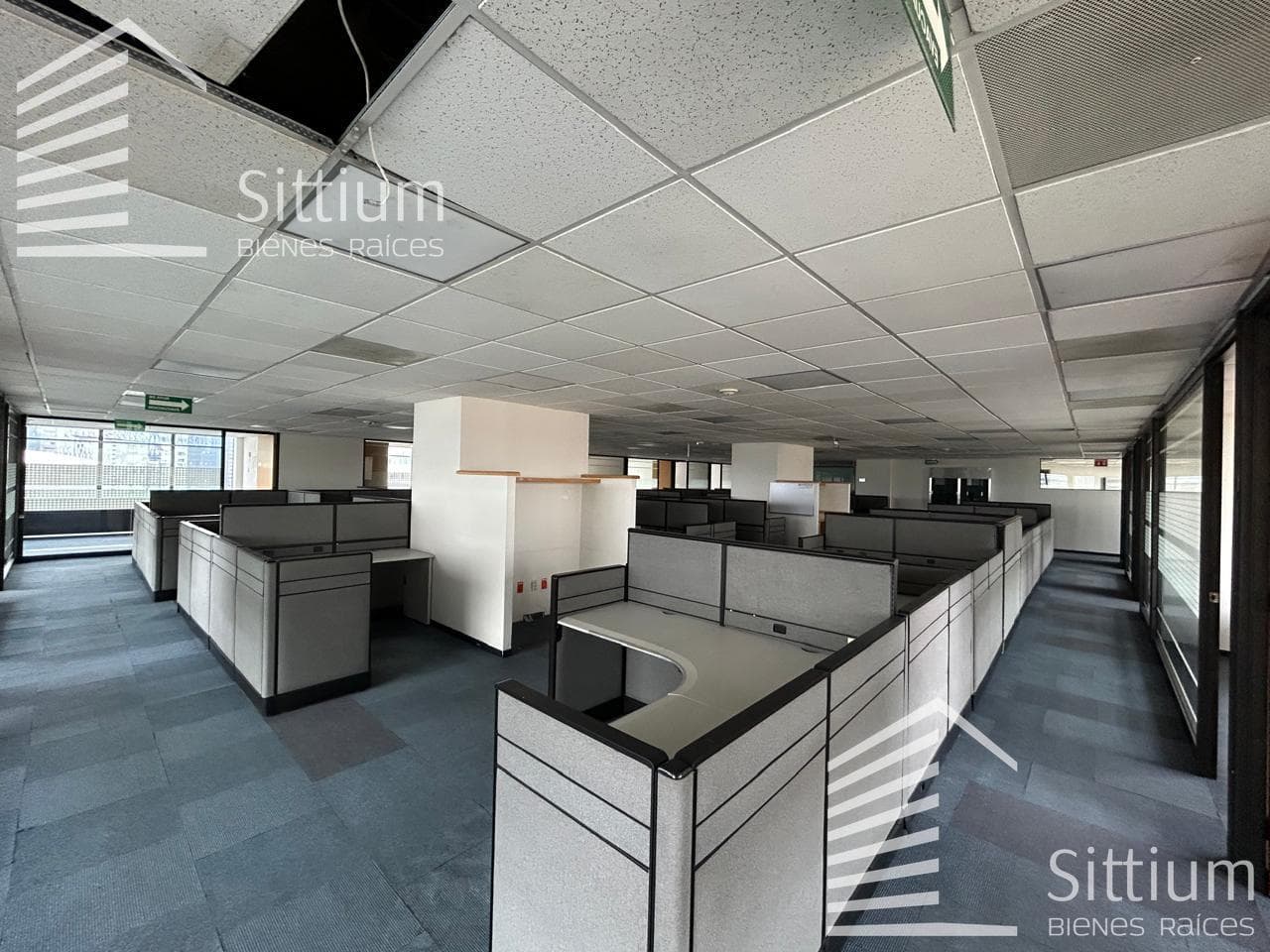 Office for Rent - Ejercito Nacional - 11th Floor - 857 m2