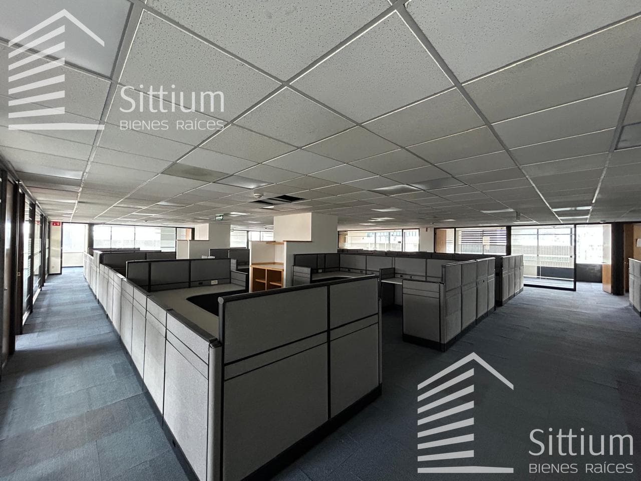 Office for Rent - Ejercito Nacional - 11th Floor - 857 m2