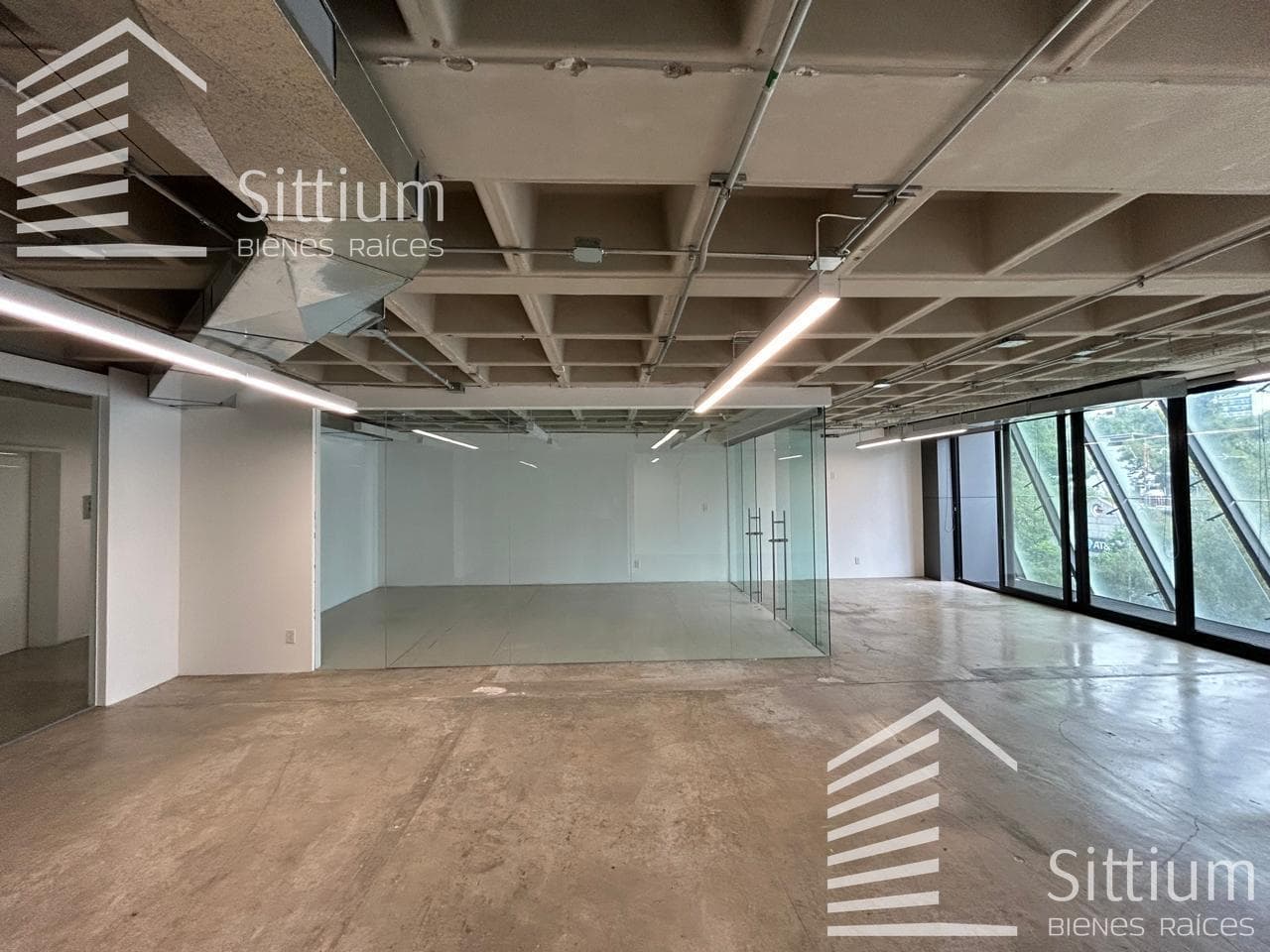 Office for Rent - Presidente Masaryk - 150 m2