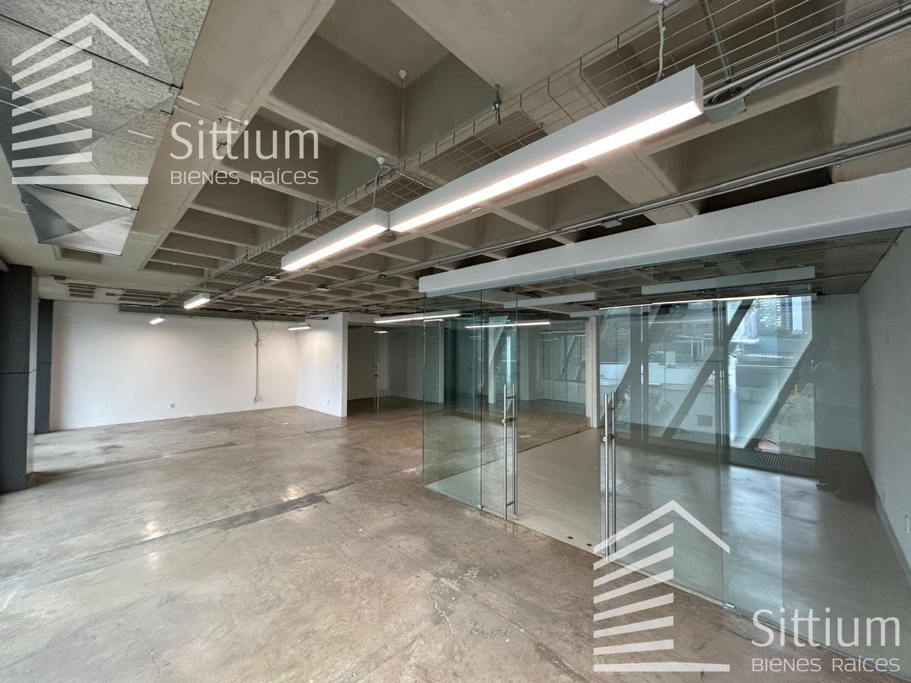 Office for Rent - Presidente Masaryk - 150 m2